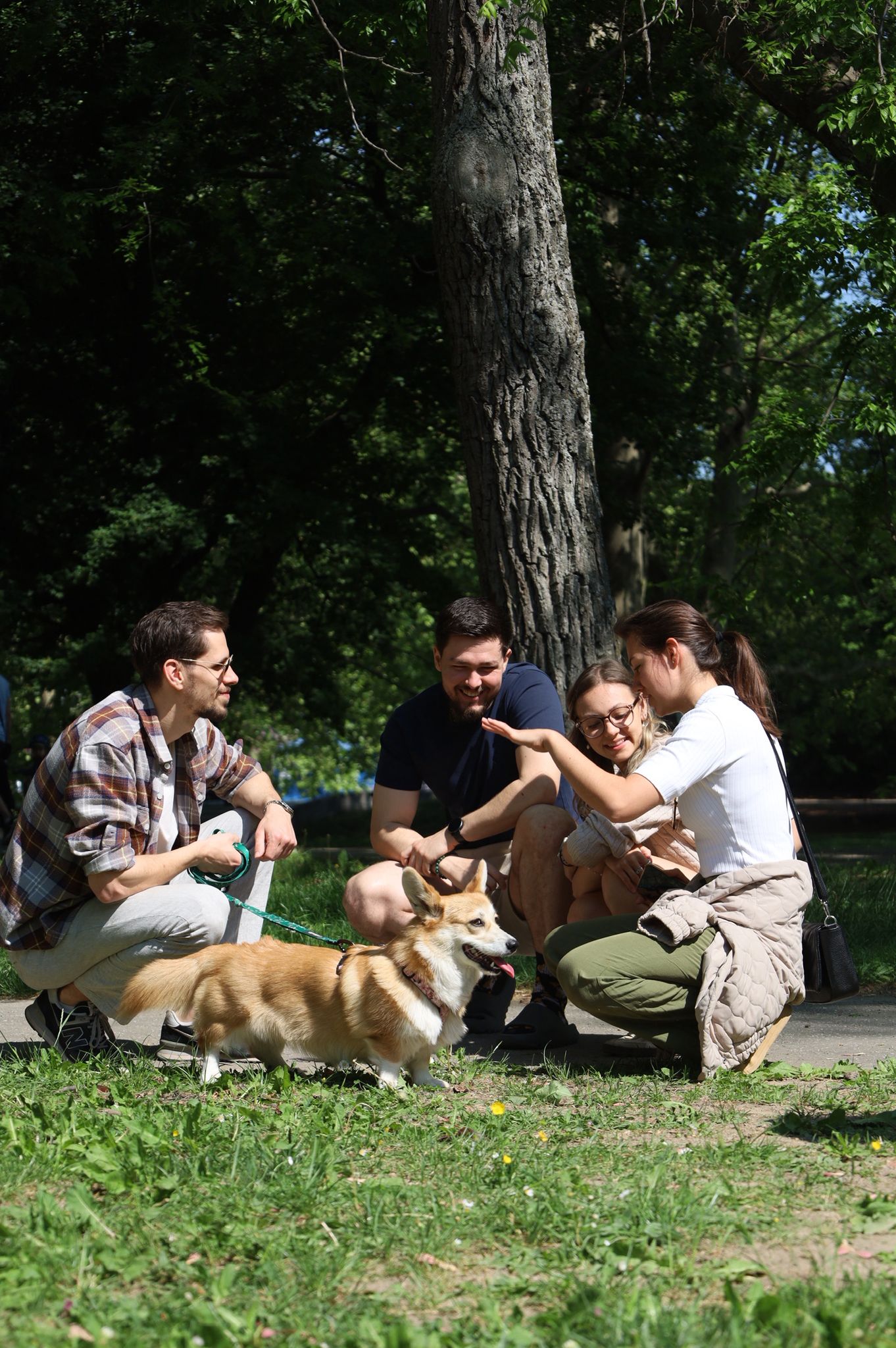 corgi meet up